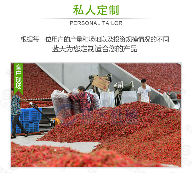 大型辣椒烘干機私人訂制