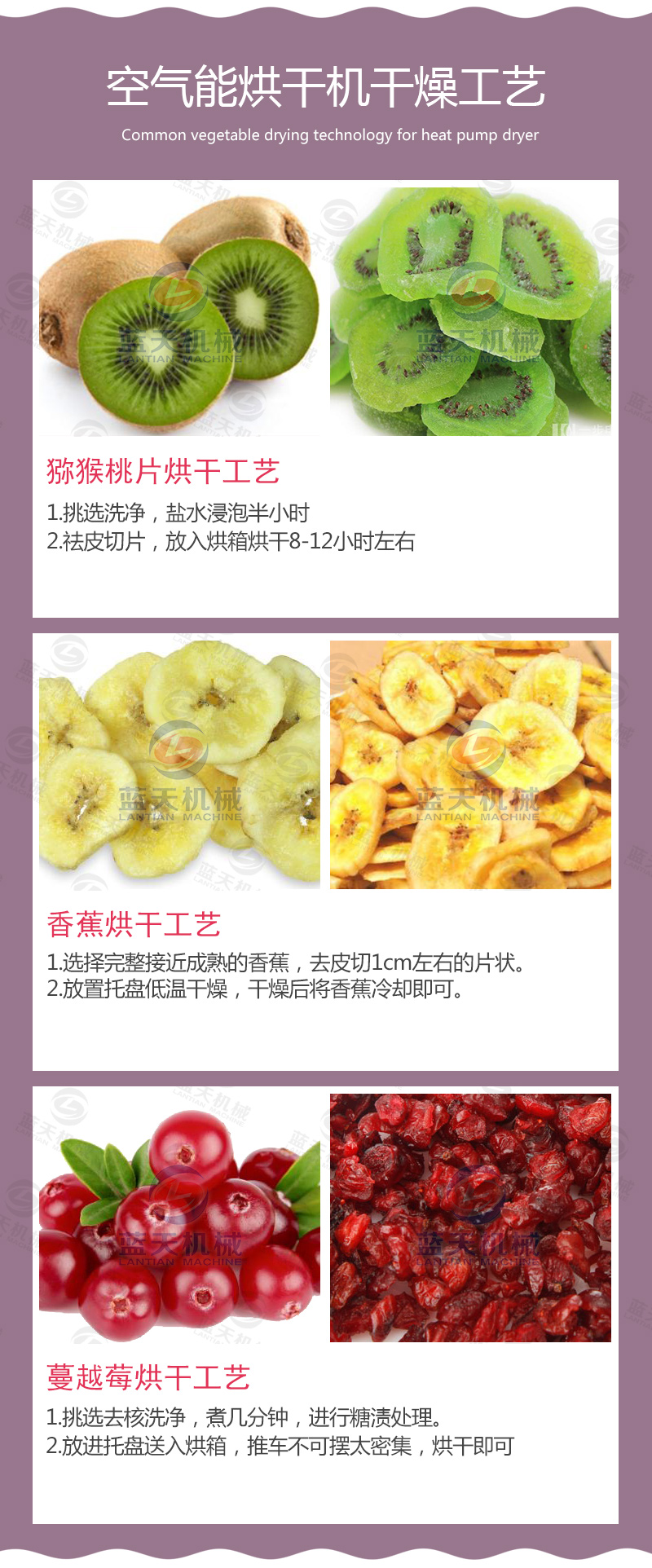 水果烘干機干燥工藝