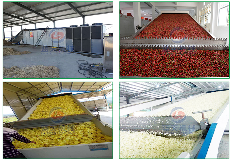 網(wǎng)帶果蔬烘干機