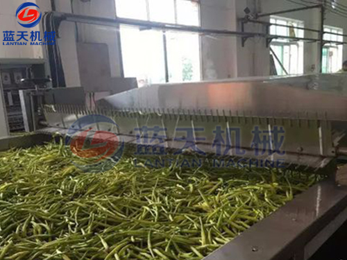 湖南帶式果蔬烘干機(jī)用戶(hù)現(xiàn)場(chǎng)