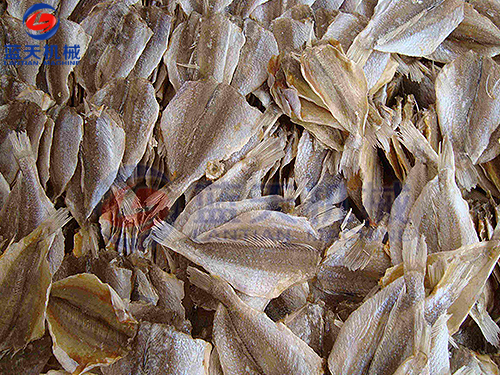 浙江魚(yú)干烘干機(jī)用戶(hù)現(xiàn)場(chǎng)