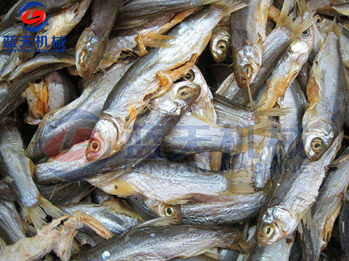 江蘇魚(yú)干烘干機(jī)用戶現(xiàn)場(chǎng)